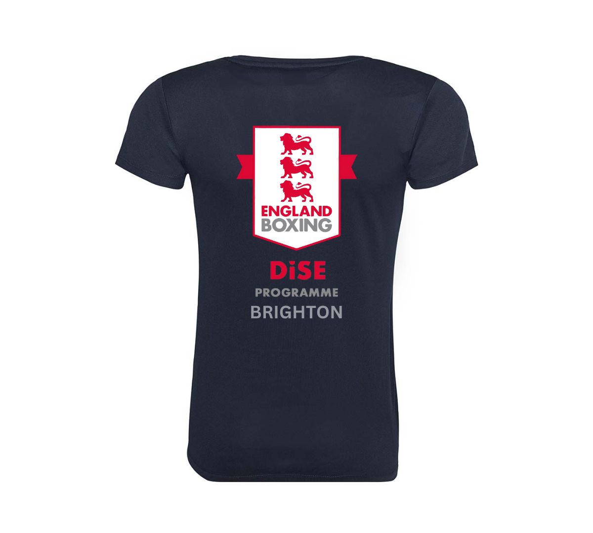 DiSE Programme (Brighton) Ladies Cool T-Shirt