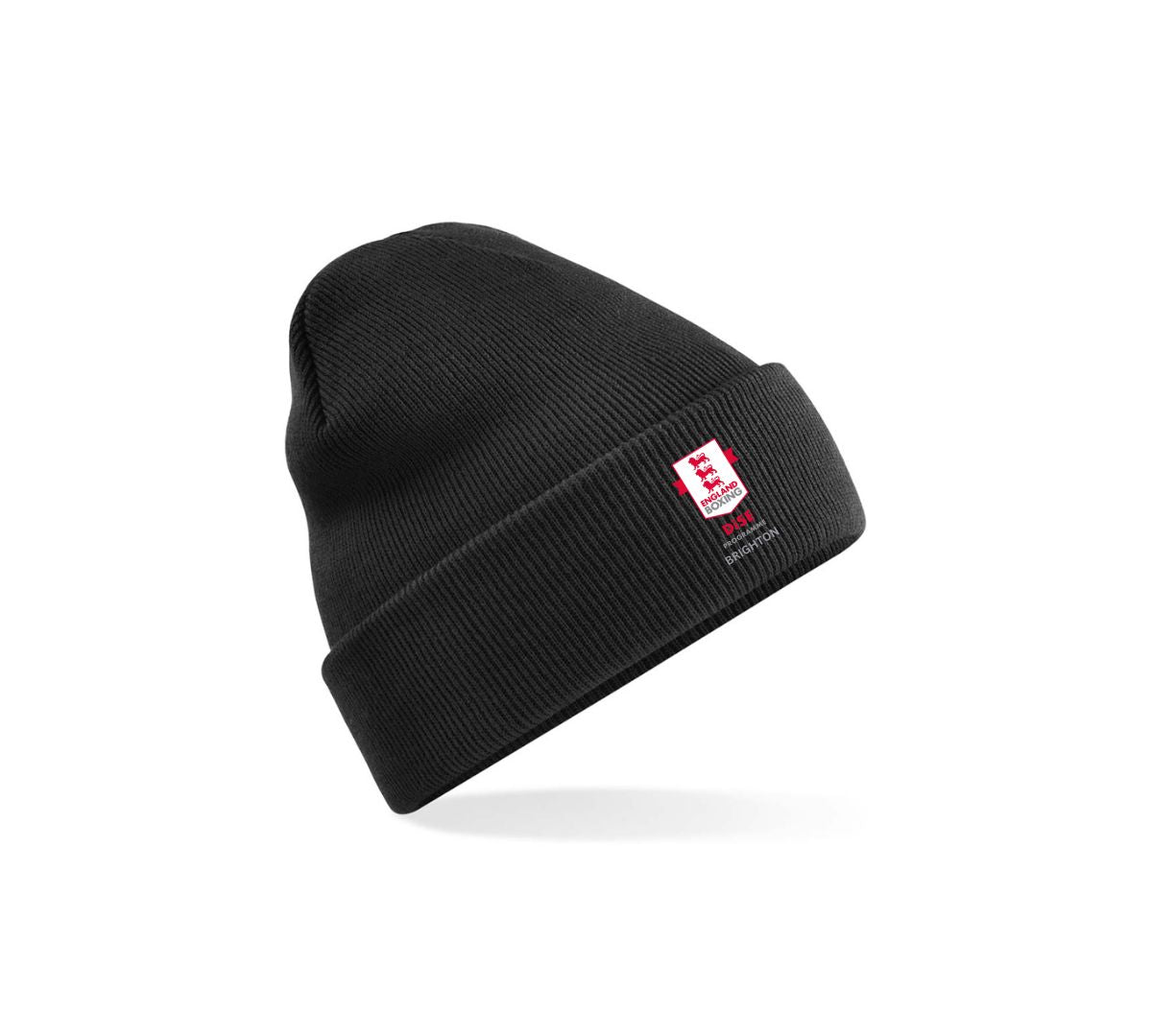 DiSE Programme (Brighton) Beanie