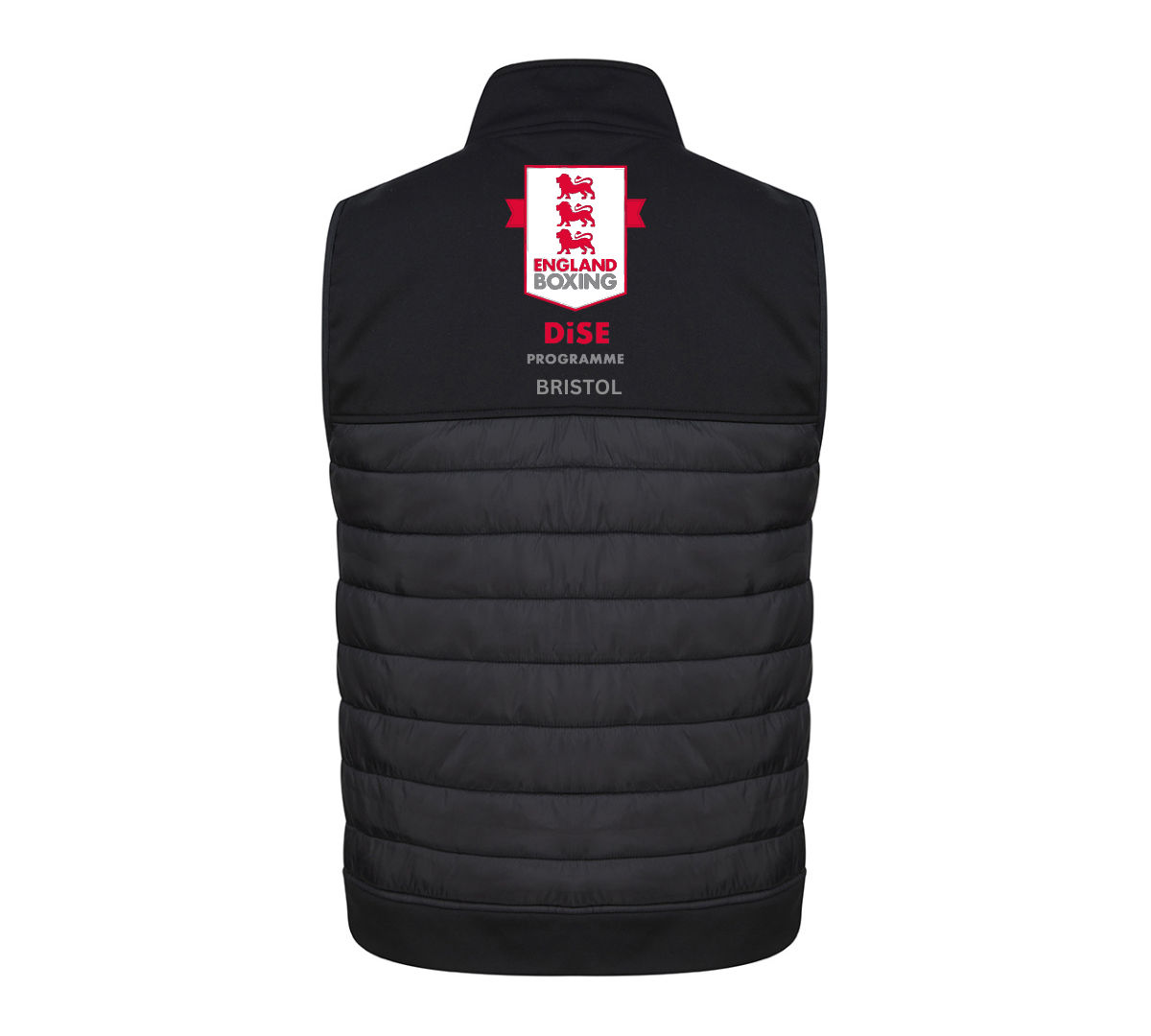DiSE Programme (Bristol) Club Gilet